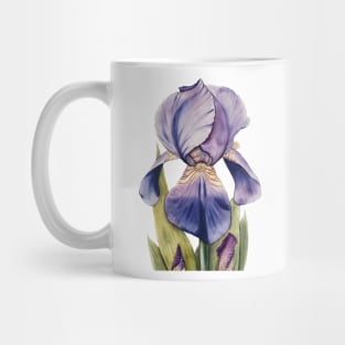 Purple Iris Watercolor Mug